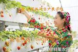 山东临沂客户